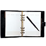 Leather agenda lacquer fountain pen, Louis Vuitton.