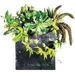 Arrangement of millet, begonia leaves, passion vines, poppy pods, grasses and succulents in a terrazzo vase, LMD Floral.