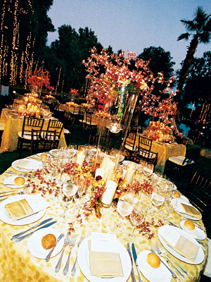 Celebrity Wedding Alyson Hannigan Alexis Denisof pomegranate wedding