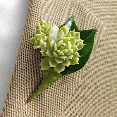 echeveria rosette boutonniere