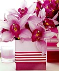 tropical flowers