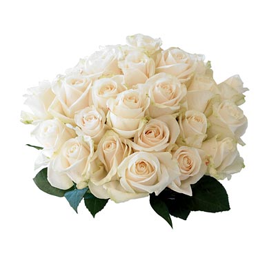 organic flowers