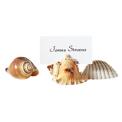 shell place card holder