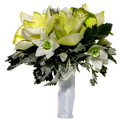 amaryllis, eucharist lilies and lamb's ear