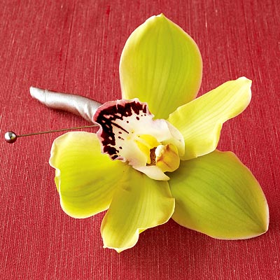 graceful green boutonniere