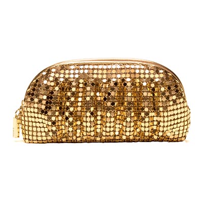 gold-mesh cosmetic case