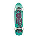 Gift Guide 2008, Gifts for Kids & Teens, Comet Skateboard