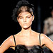 Dolce & Gabbana, Milan Fashion Week, Spring 2009, Runway Report