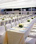 destination wedding india