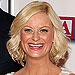 Will Arnett, Amy Poehler, pregnant, Baby Mama, celebrity babies