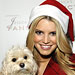 Jessica Simpson, Stars Celebrate the Holidays
