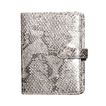 Python notebook, LAI.