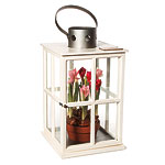 Glass and steel Harbor Point greenhouse, Ralph Lauren Home.