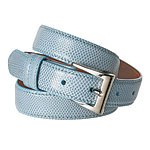 Lizard belt, LAI.