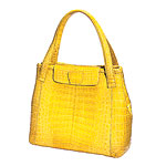 Crocodile bag, Nancy Gonzalez.