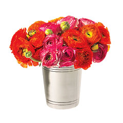 Ranunculus arrangement in mint-julep cup, Martha Stewart for 1-800-Flowers.