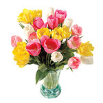 Tulip bouquet, Flower Bud.