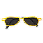 Titanium and plastic sunglasses, Theo.