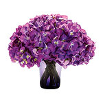 Dutch hydrangea arrangement, Michael George Hybrid.