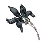 Black Lucite and Swarovski crystal brooch, Alexis Bittar.