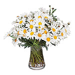 Floral Arrangement, LMD Floral.
