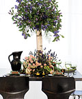 Spring Flowers