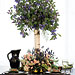 Spring Flowers