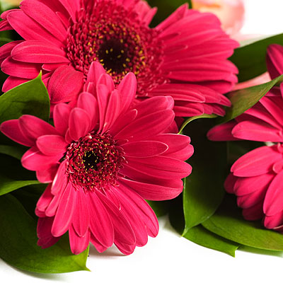 Flower Glossary