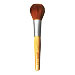 Best Beauty Buys, Eco Tools