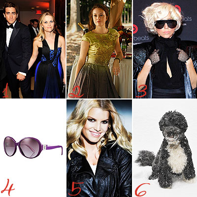 Bo Obama's First Snowstorm, Jessica Simpson's New Swim Line