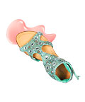 Summer Nails, Bold Nails, Cute Sandals, Sally Hansen Nail Polish & Antik Batik Sandals