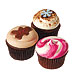 Georgetown Cupcake, Cupcakes