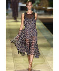 Roberto Cavalli  all
