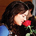 90210, Jessica Stroup