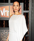 Angelina Jolie wearing BCBG Max Azria