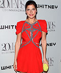 Lake Bell wearing BCBG Max Azria