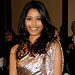 Girl About Town: Freida Pinto in Zac Posen and Jimmy Choo, 61st Annual Directors Guild of America Awards, Los Angeles