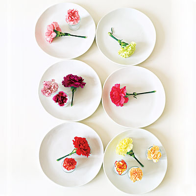 Carnations