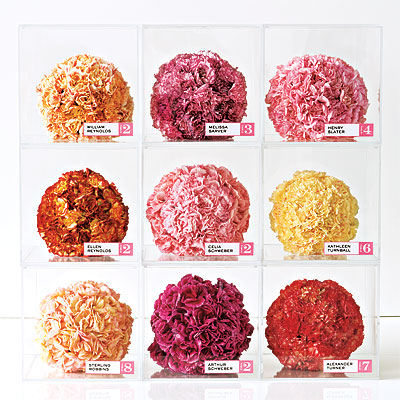 Carnations