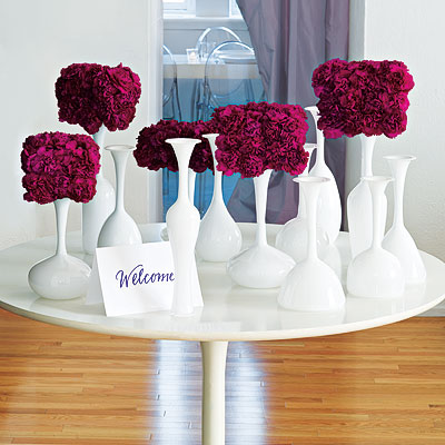 Carnations