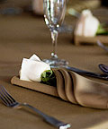 Green Weddings