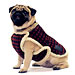 Most Stylish Gift for Dogs: Mulberry's Princess Collar Coat