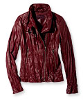 Uniqlo Jacket