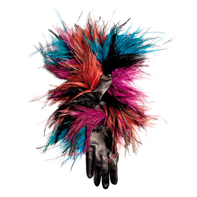 Roger Vivier Bird Gloves