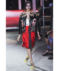 Miu Miu all Day/Work Dresses