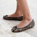 Beyond the Runways: Leopard