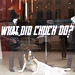 Williamson's Gossip Girl'd Windows!