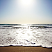 Help to Clean Up the Gulf of Mexico
