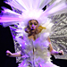 See Lady Gaga's Crazy Monster Ball Tour Costumes