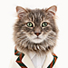 See Inside United Bamboo's Cat Calendar